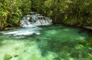 Jalapão: destino imperdível para aventureiros e amantes da natureza