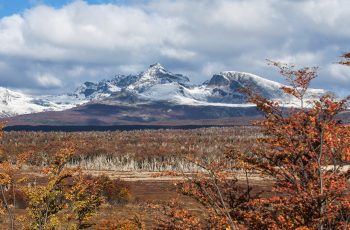 Conheça o Parque Nacional Tierra Del Fuego, o mais austral do mundo, em Ushuaia