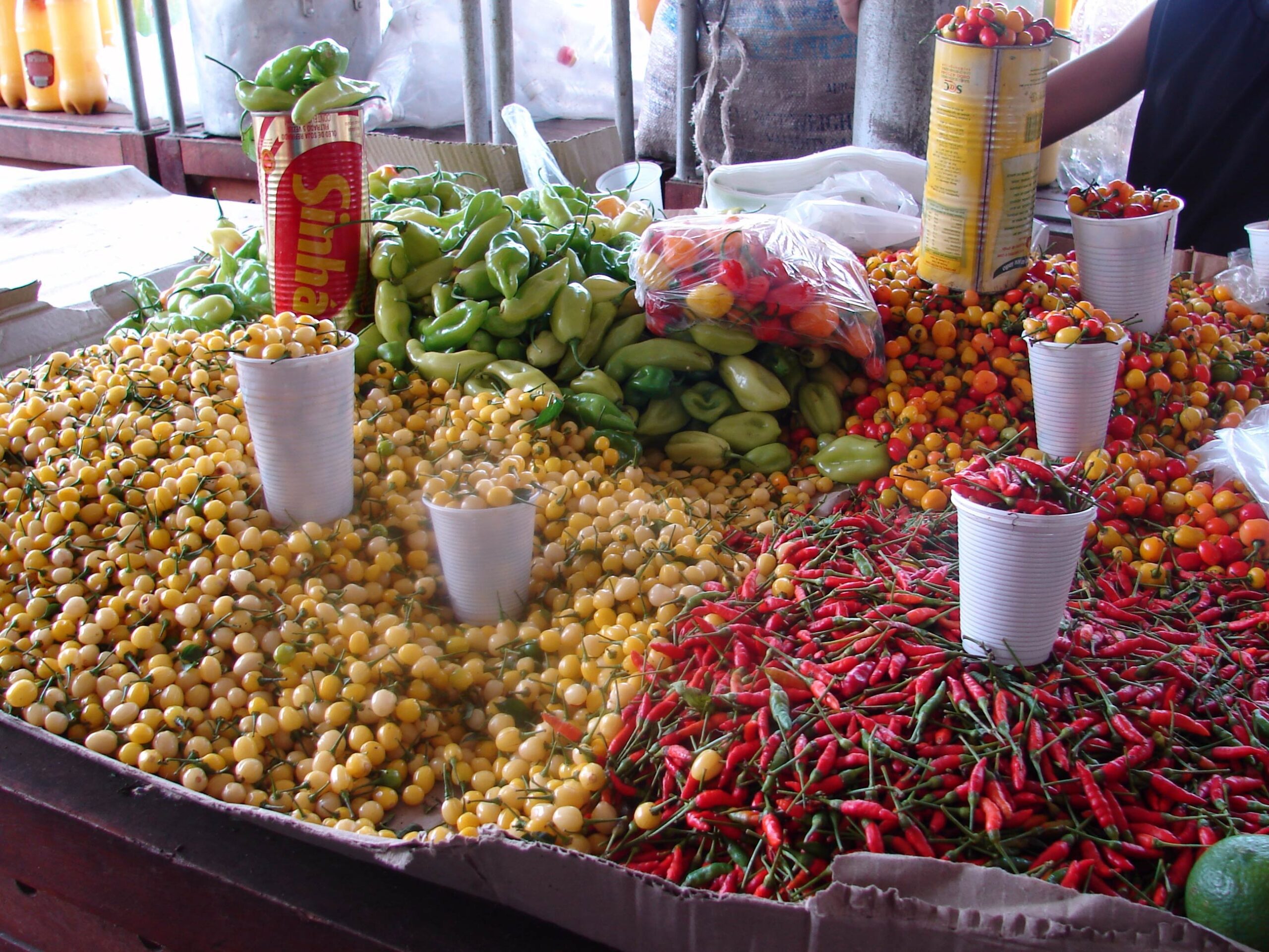 Paisagens Amazônicas com Anavilhanas