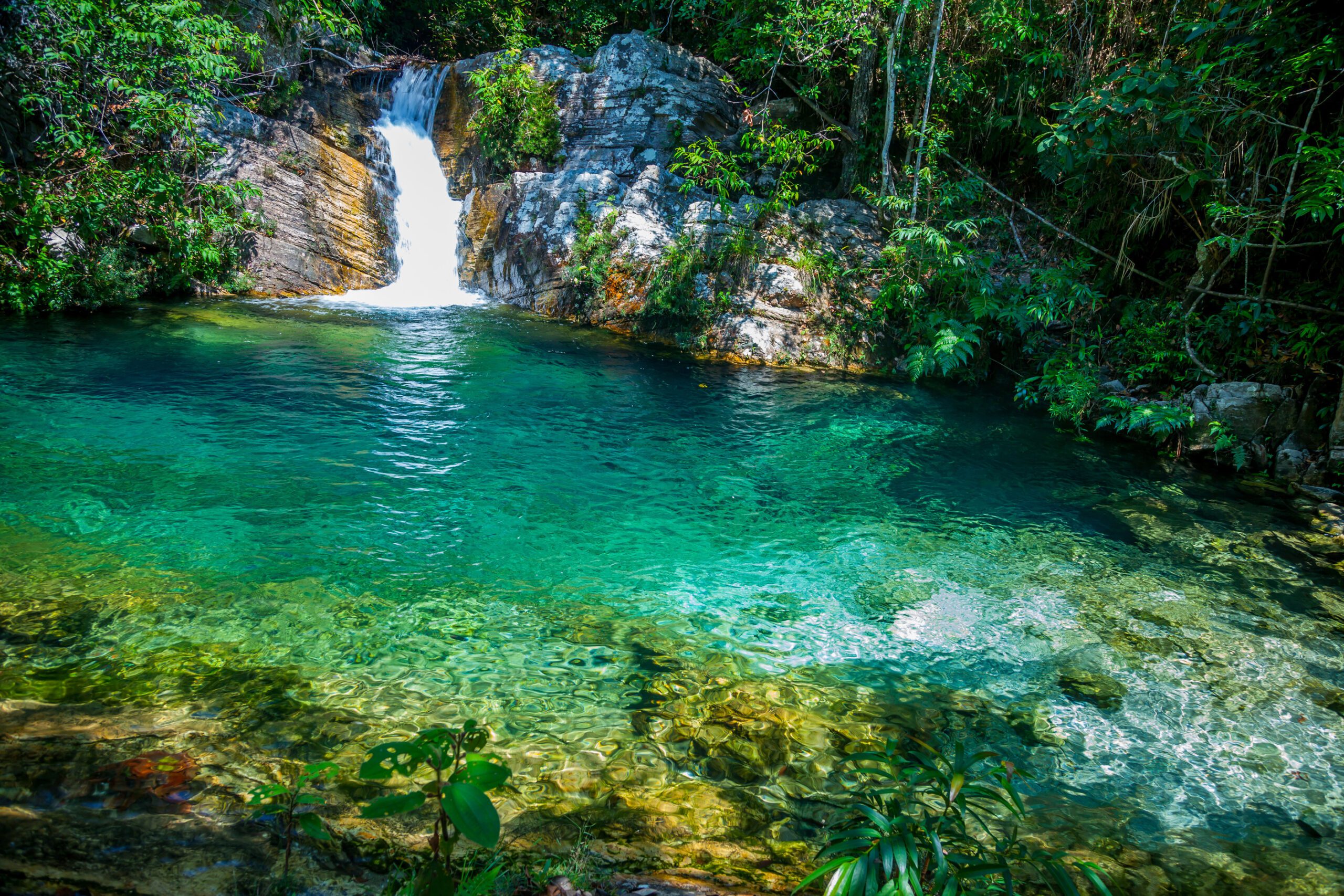 CO_Chapada0115(1)