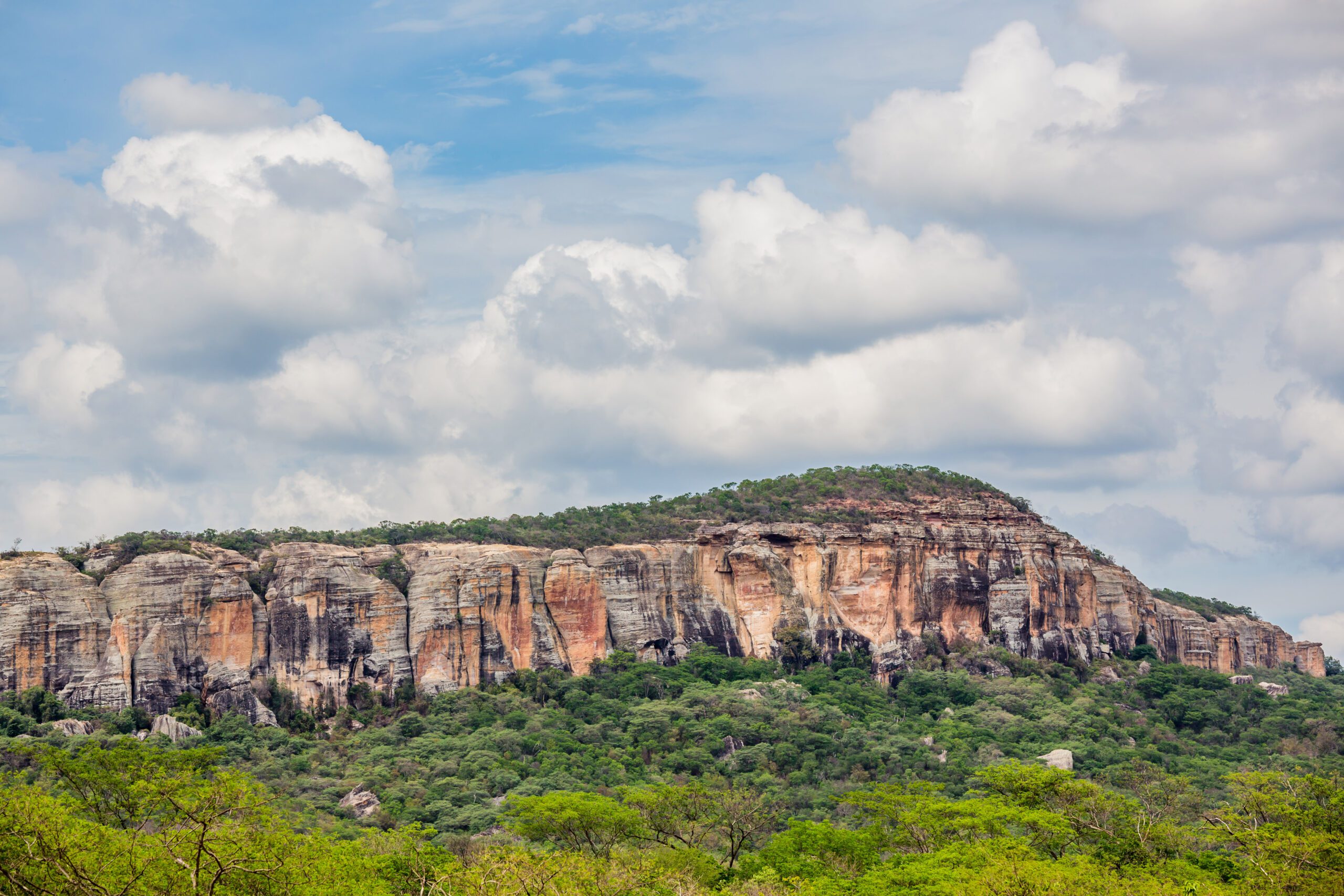 NE_SerraCapivara0028