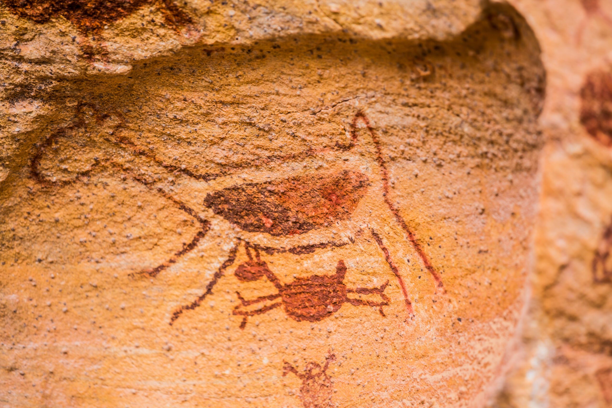 NE_SerraCapivara0061