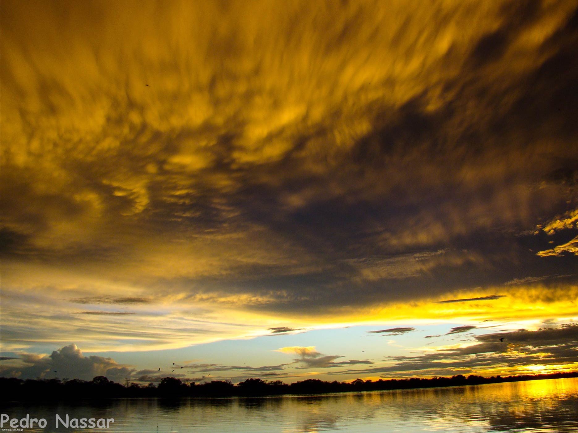 mamirauá - uakari lodge