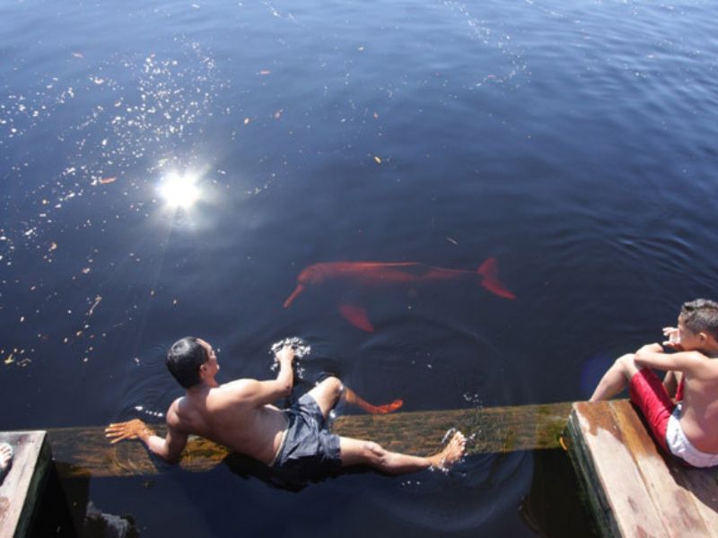 Paisagens Amazônicas com Anavilhanas