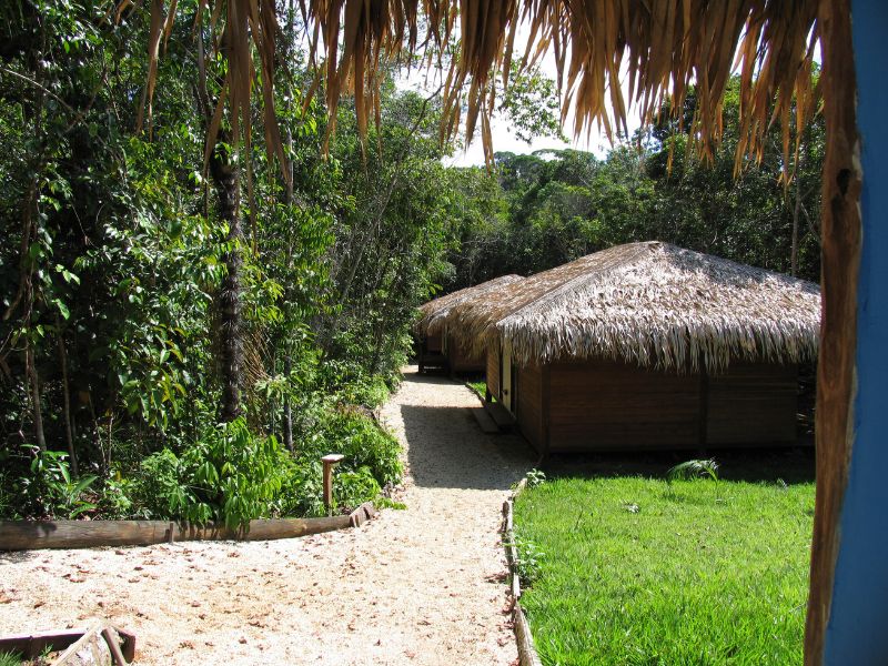 Paisagens Amazônicas com Anavilhanas