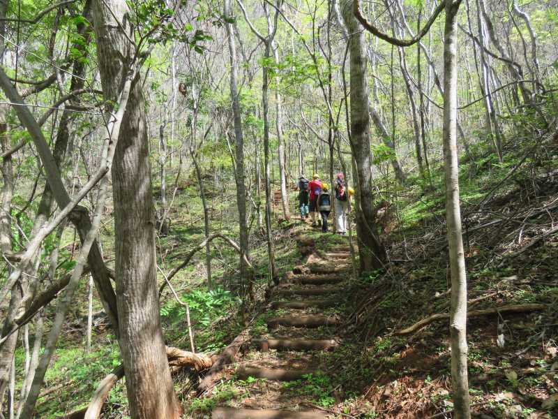 Parque Nacional Cavernas do Peruaçu