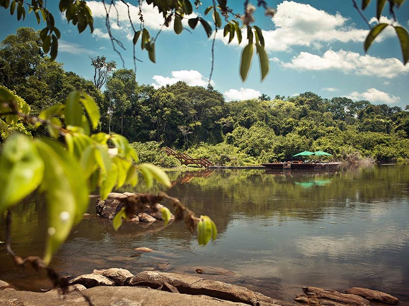 cristalino jungle lodge