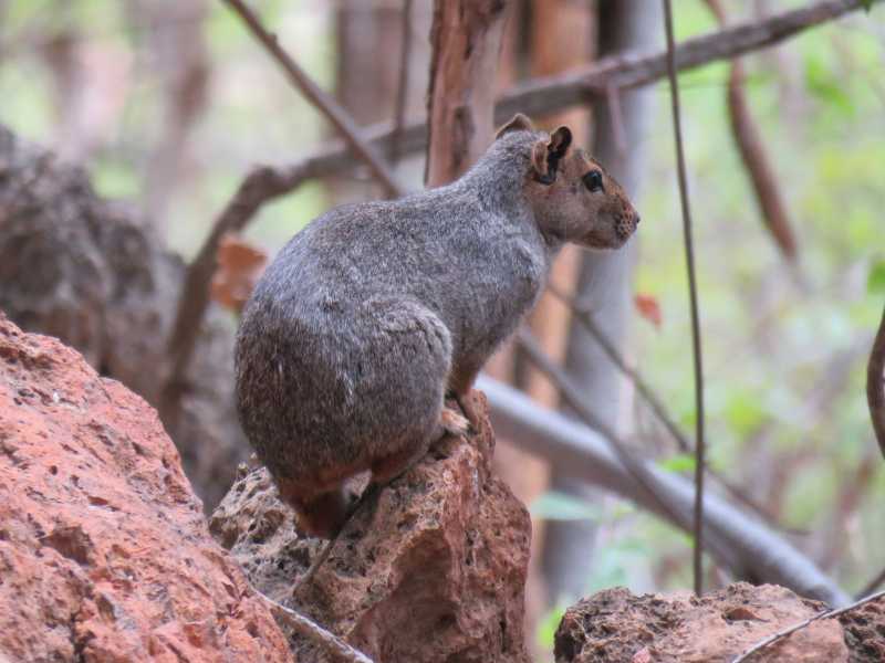 Parque Nacional Cavernas do Peruaçu