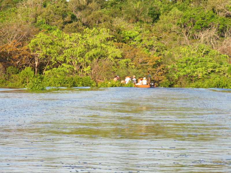 Hotel de Selva - Evolução Ecolodge