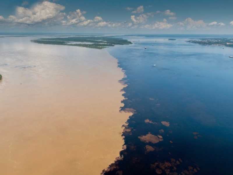 Hotel de Selva - Evolução Ecolodge