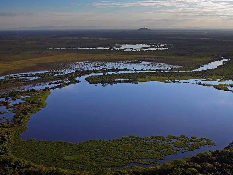 rio mutum - pantanal norte