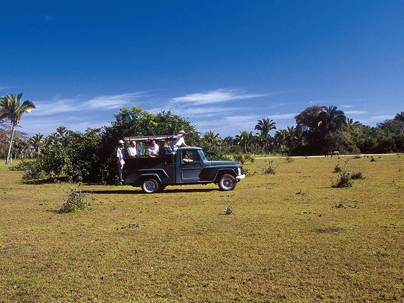 rio mutum - pantanal norte