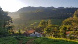 Caminho do Ouro (63)