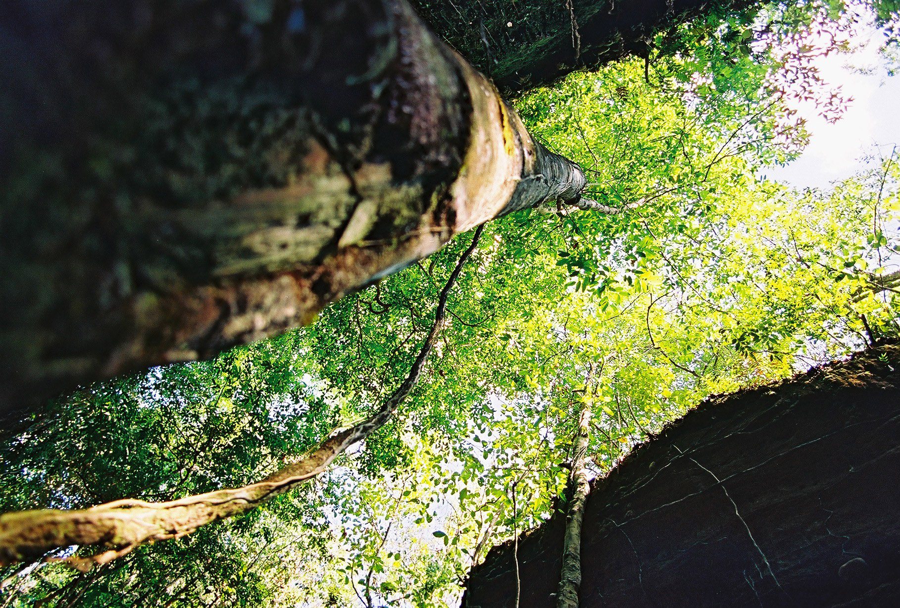 Canyon de Suçuapara 1