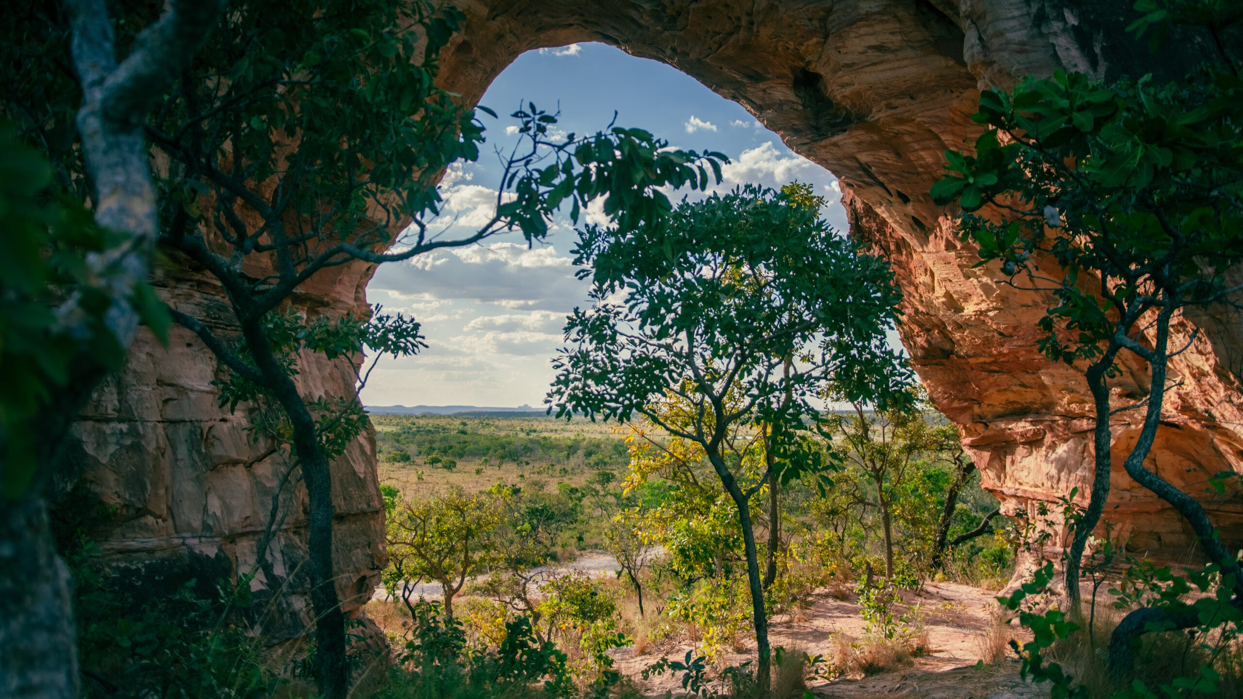 Pedra Furada - furo com árvores