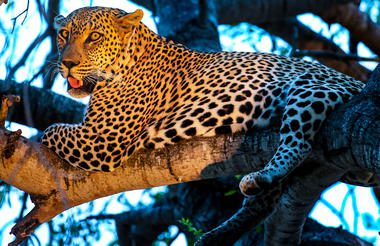 shutterstock_11052961191