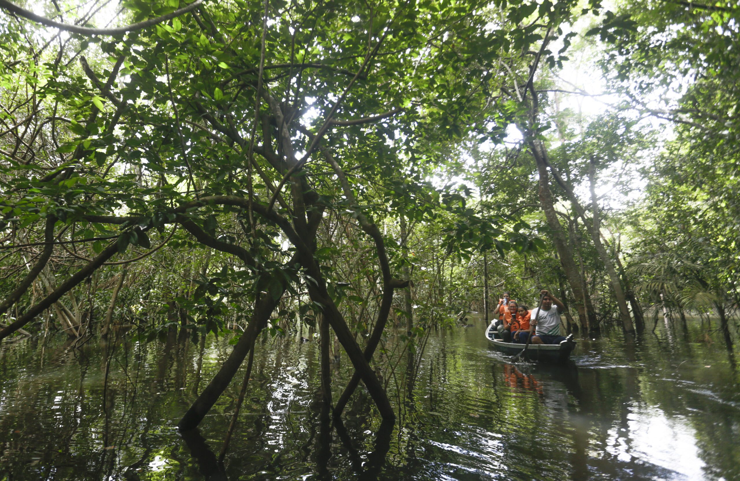 BV Alter do Chão (PA) 27/04/2018 - Cruzeiro das Águas pelo rio Tapajós . Canoagem em Igapó na comunidade Jamaraquá. Foto de Gabriel de Paiva/ Agência O Globo