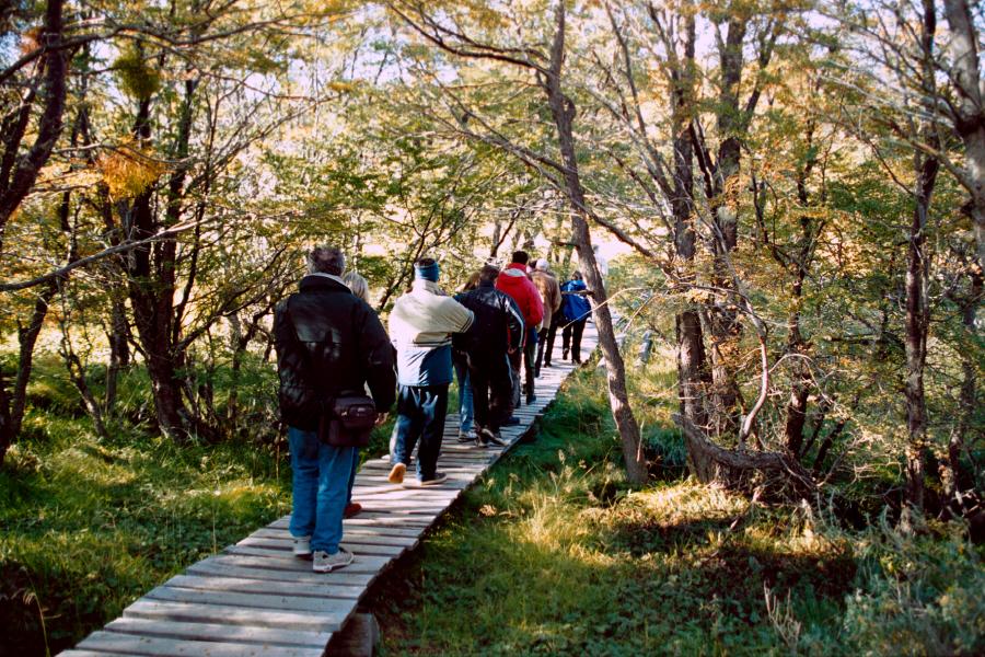 LEAD Technologies Inc. V1.01