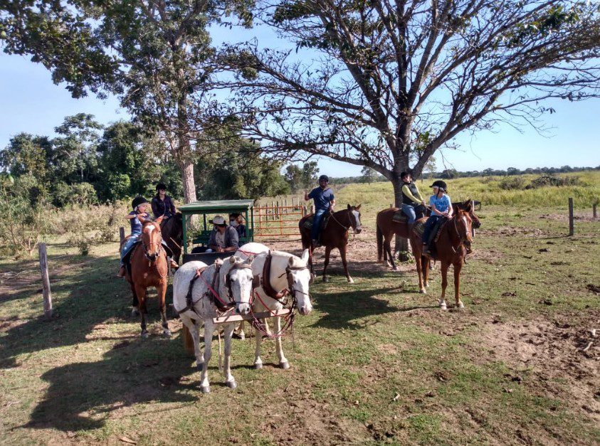 Captura de tela 2025-06-29 170637
