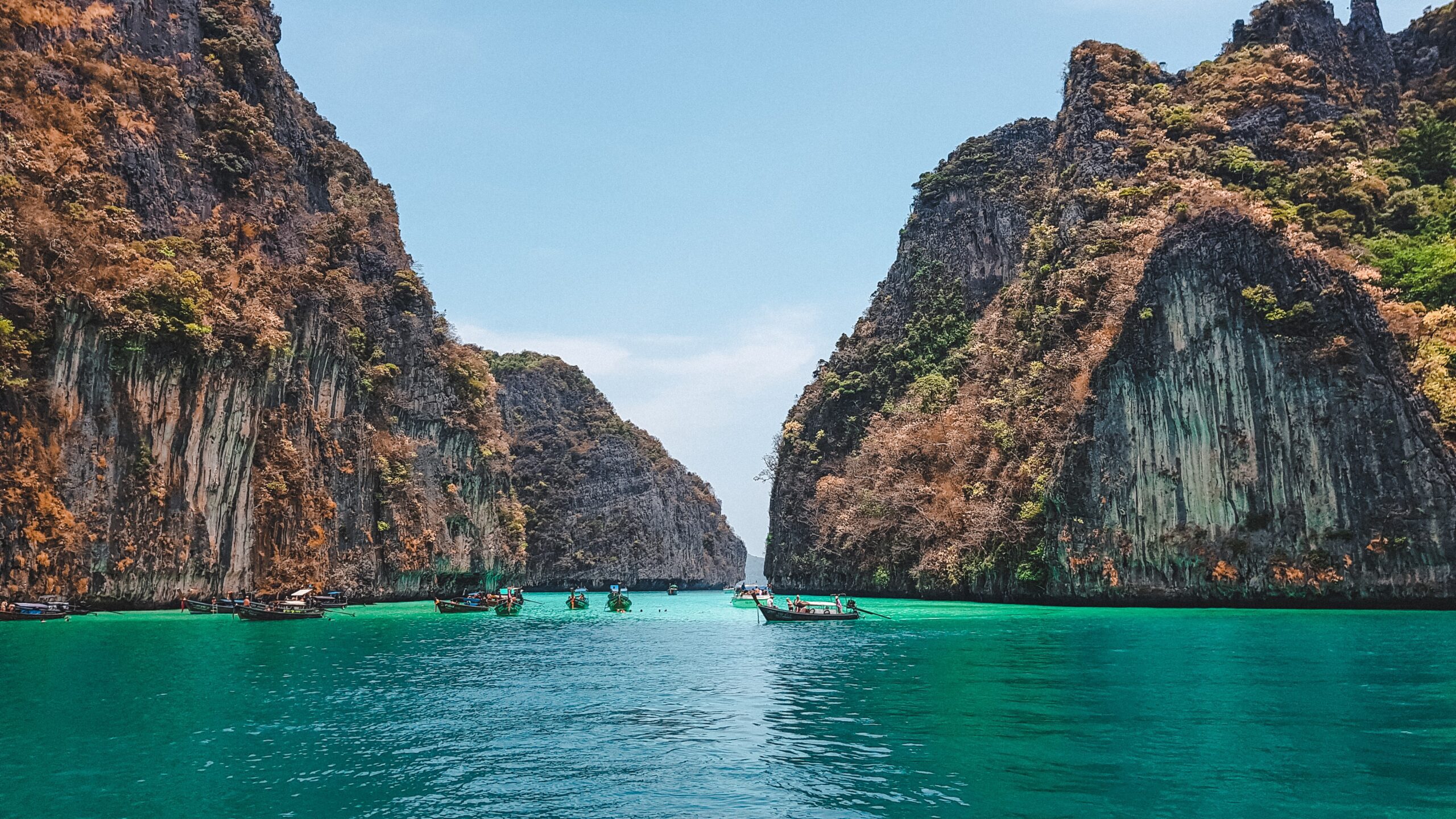 Krabi - Longtail boats in bay