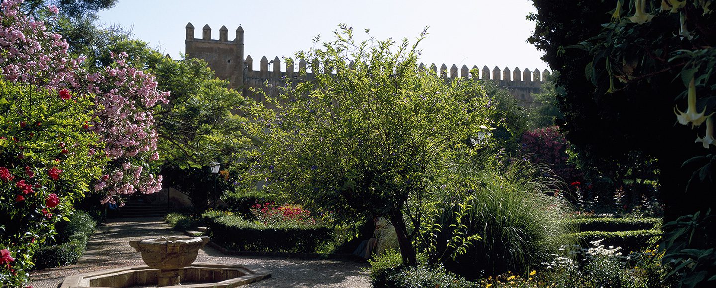 Jardin-des-Oudayas-Rabat