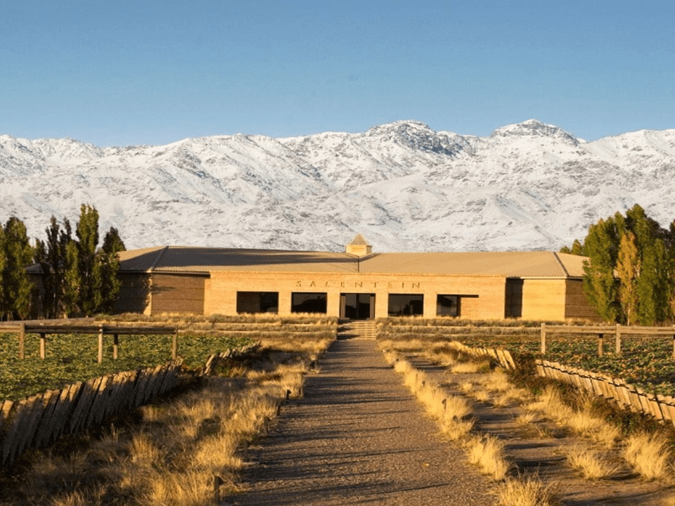 bodega Salentein