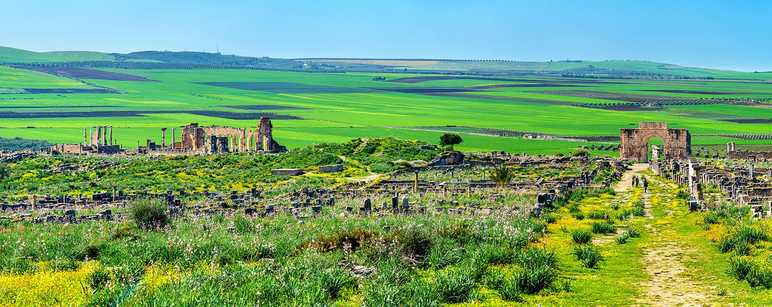 volubilis