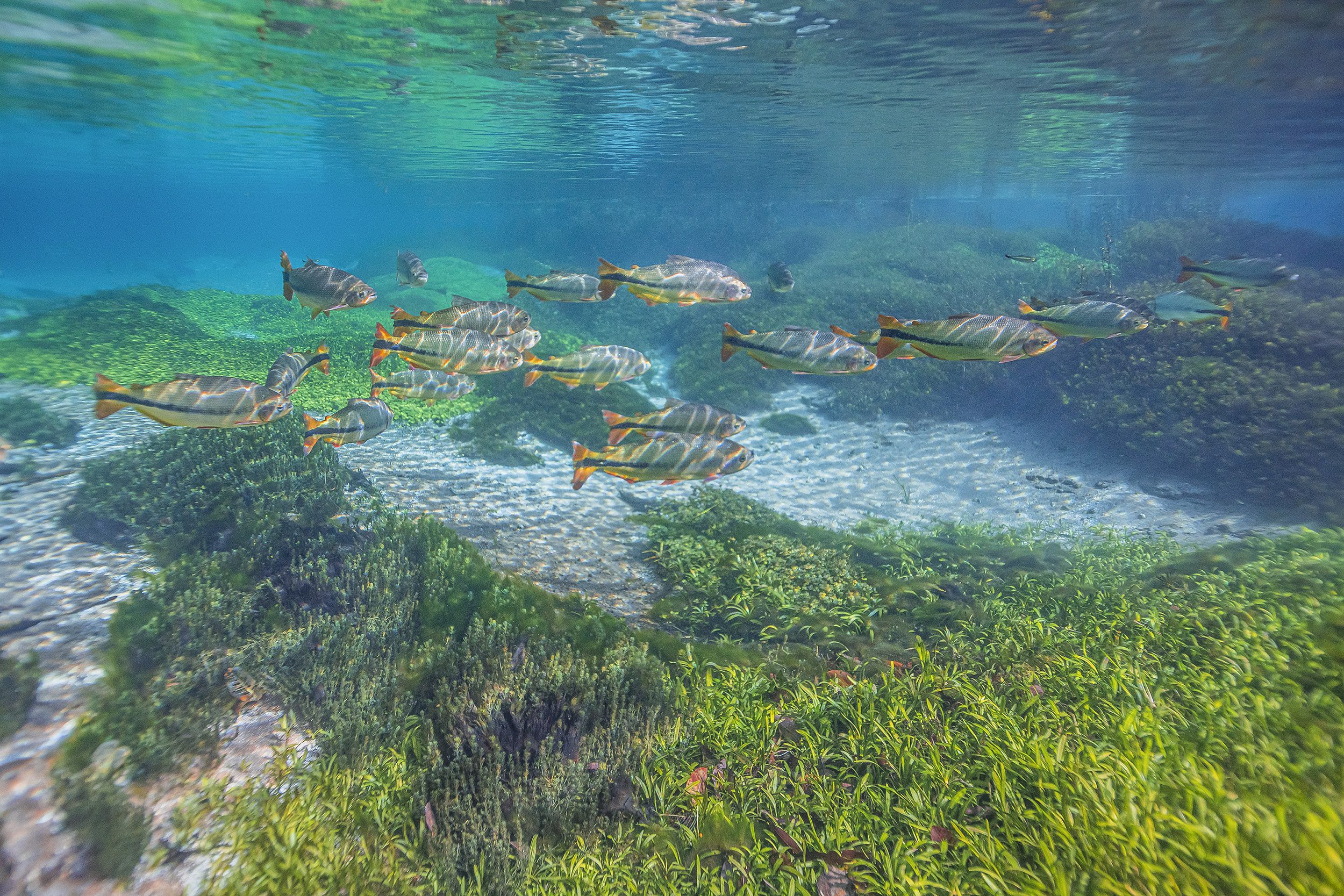 _HGD2787 rede social