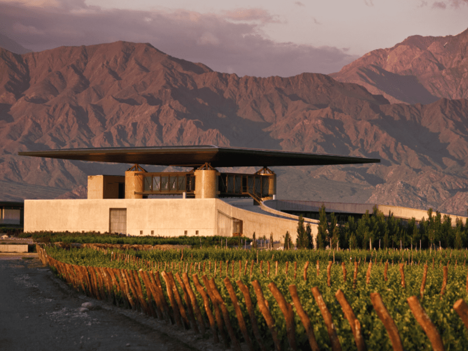 Bodega Alfa Crux