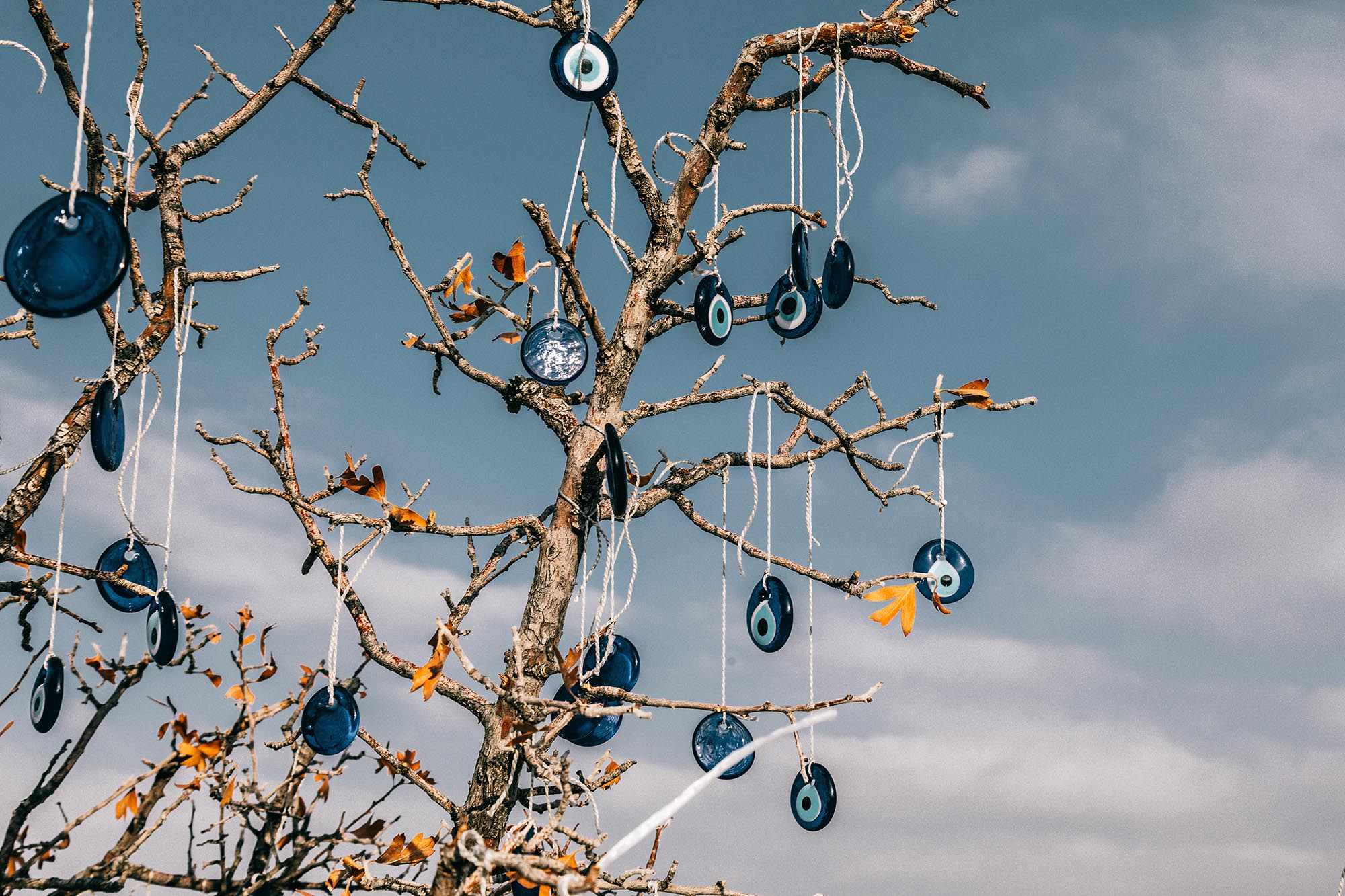 pexels-meruyert-gonullu-6243258 kopya