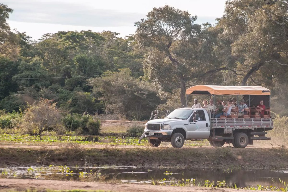 Araras-Pantanal-EcoLodge-Photo-Safari