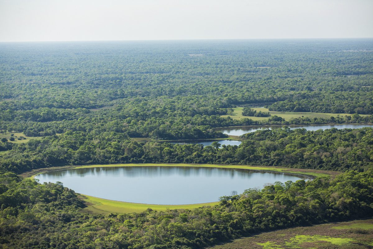 CO_Pantanal0491