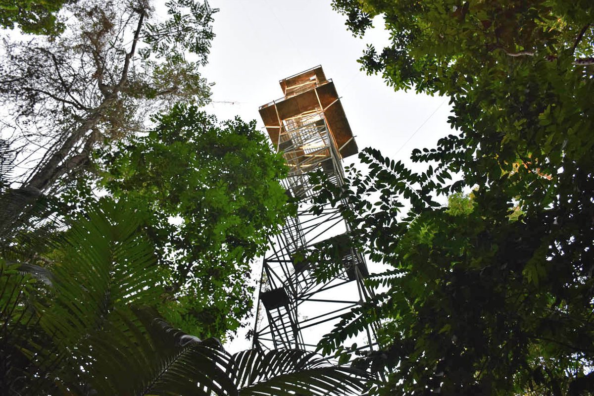 Cristalino-Lodge-Floresta-Amazonica_0792