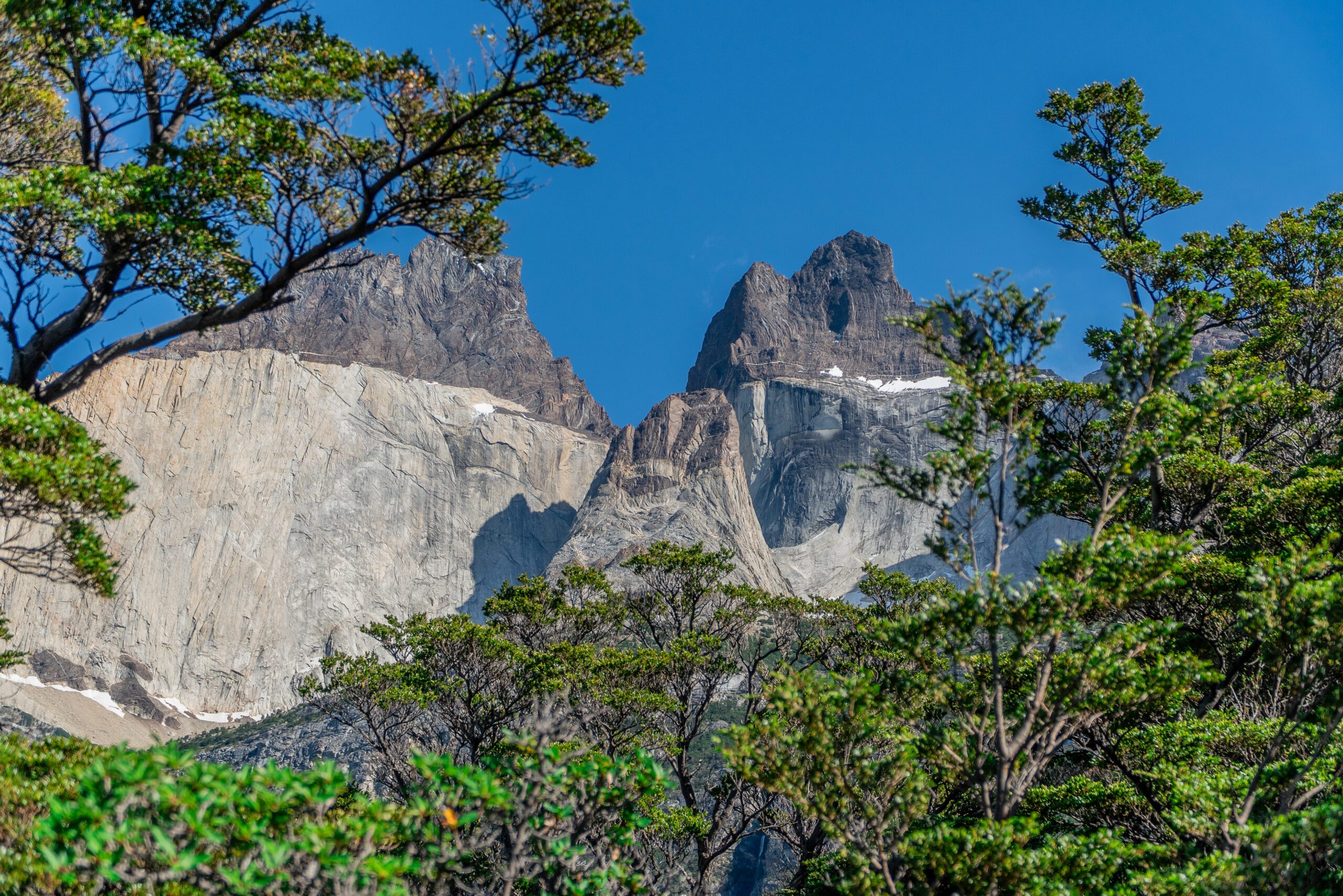 SENDERO-CUERNOS-CENTRAL-2025-6886