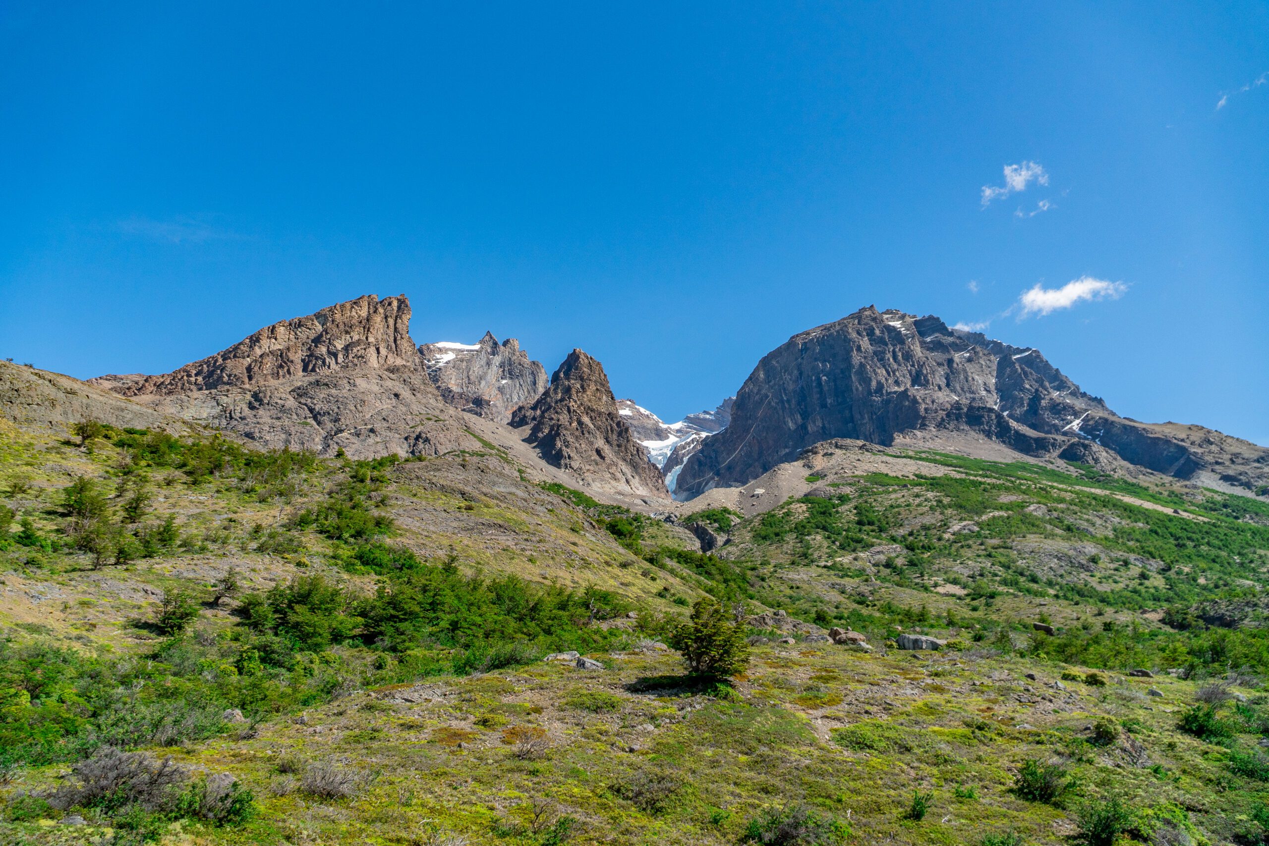 SENDERO-CUERNOS-CENTRAL-2025-6900