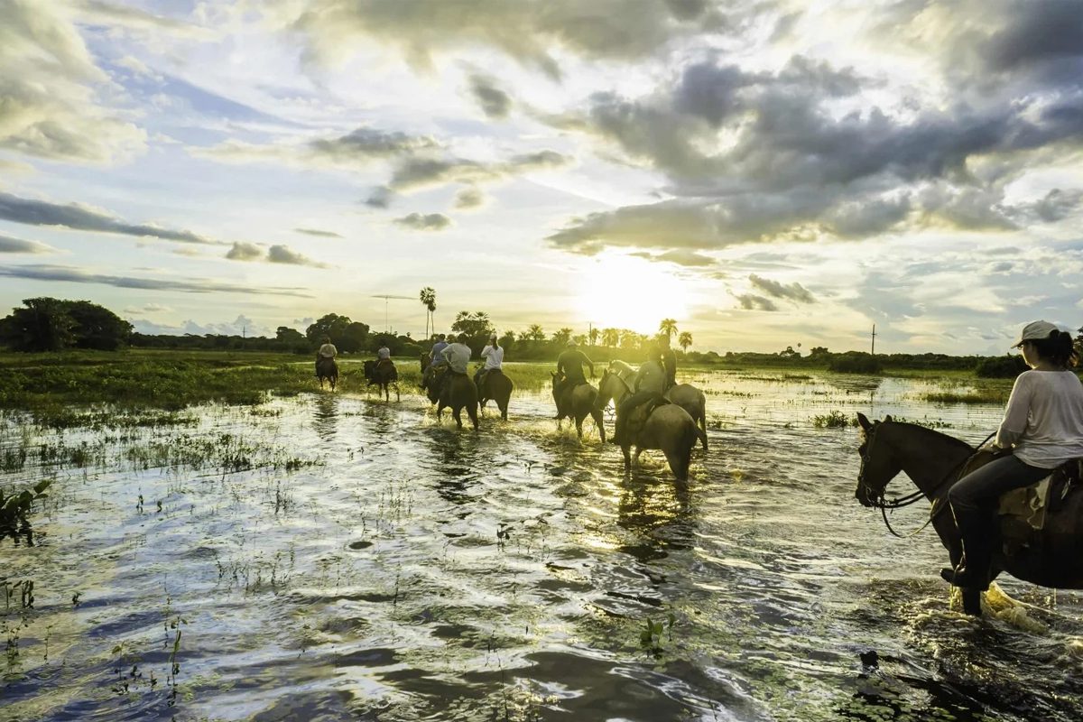 cavalgada-no-pantanal-alagado