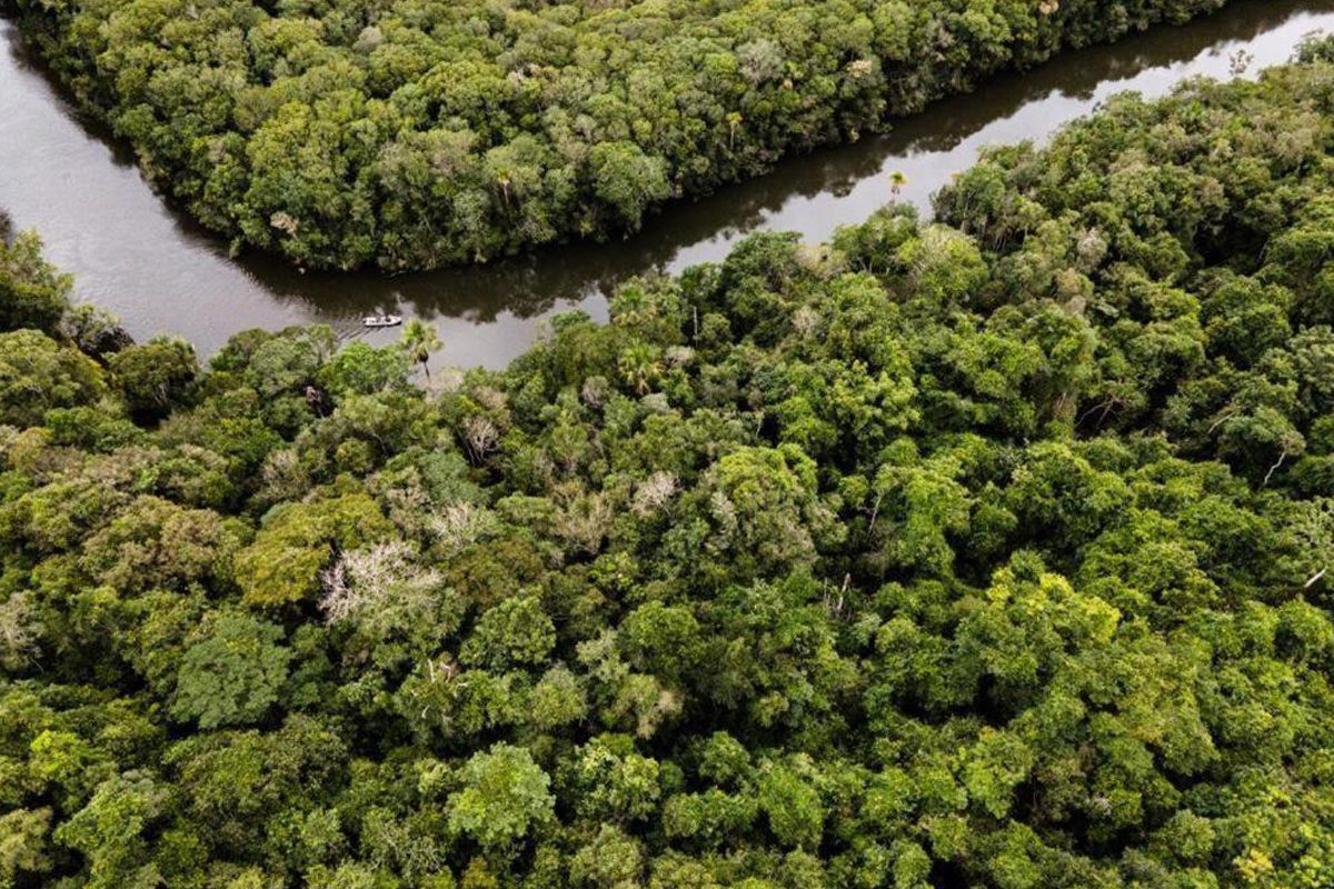 image-sao-jose-do-rio-claro-jardim-da-amazonia-lodge-24