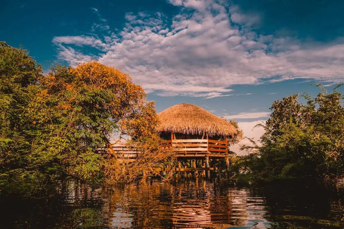 juma-amazon-lodge-hotel-selva-amazonia-017