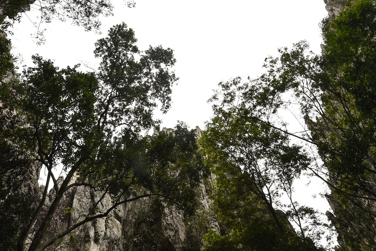 pedrovilela_gruta-do-salitre_diamantina_mg_26995813488_o