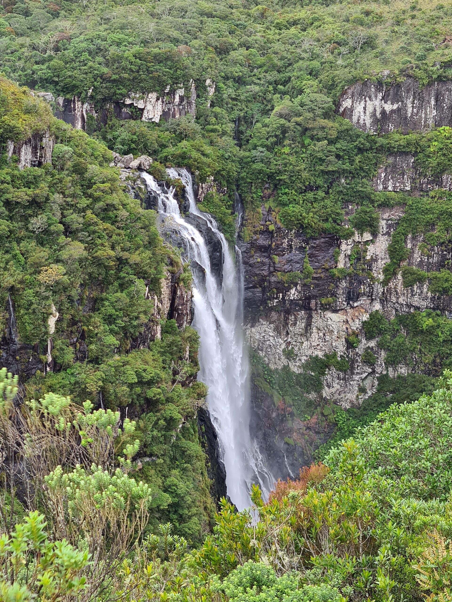20201220_113904.jpg