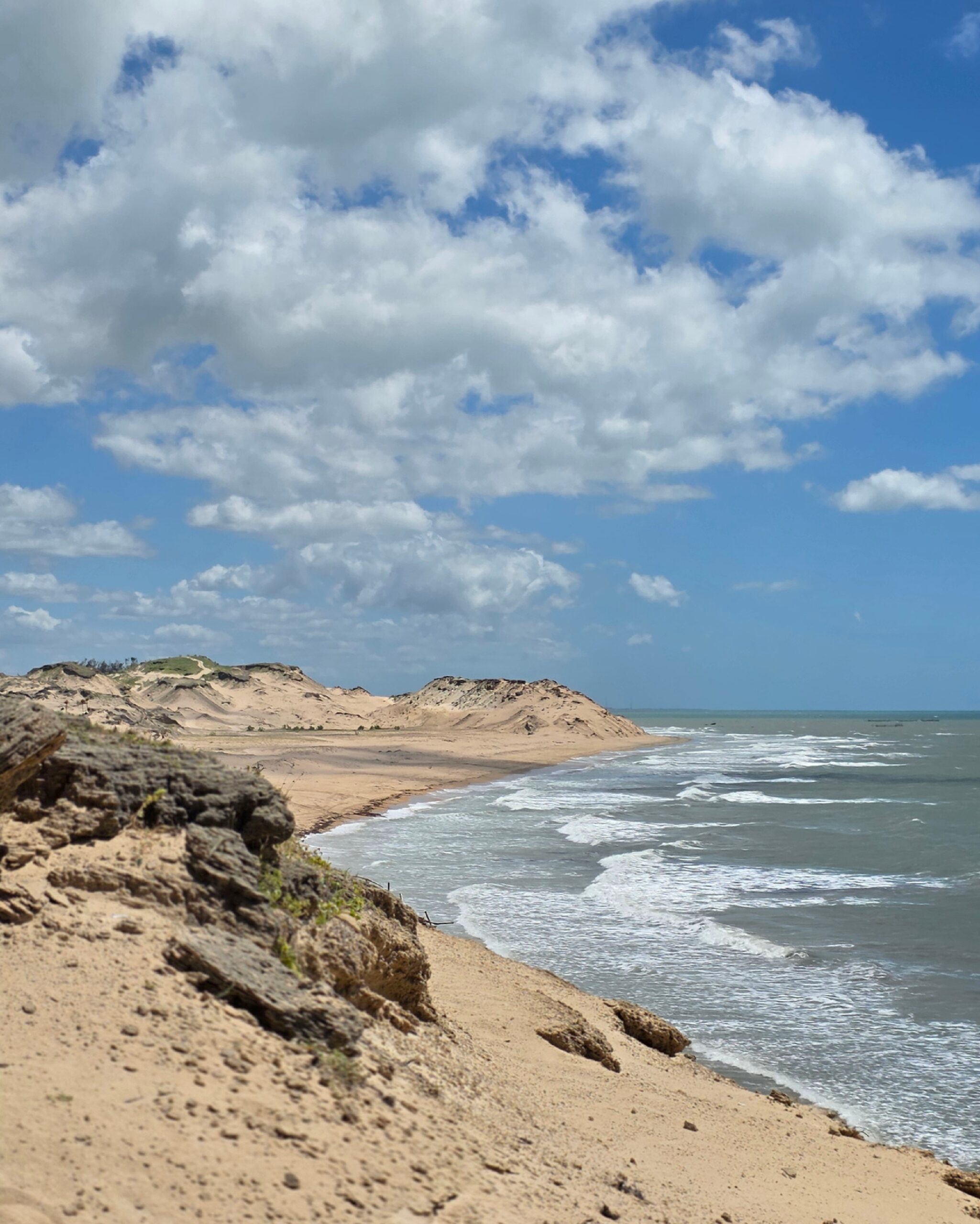 Imagem4