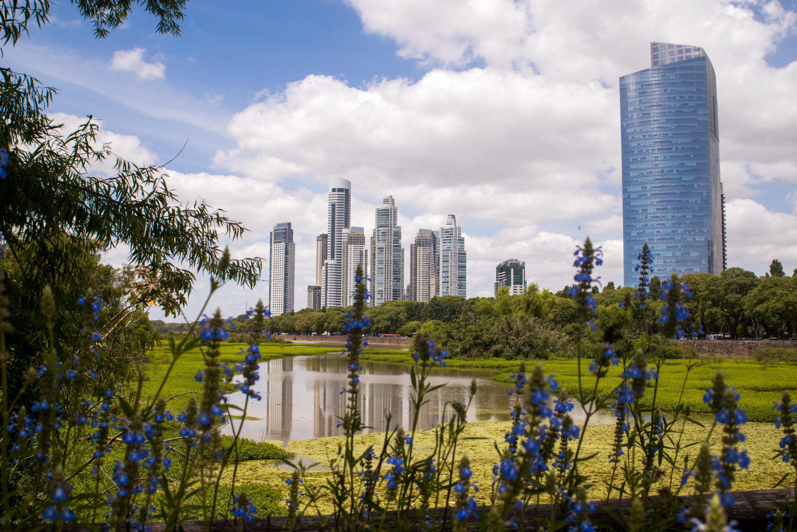 Puerto Madero - Reserva Ecológica