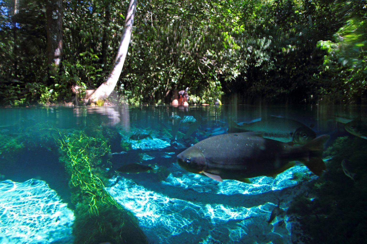 aquario-encantado-bom-jar (1)