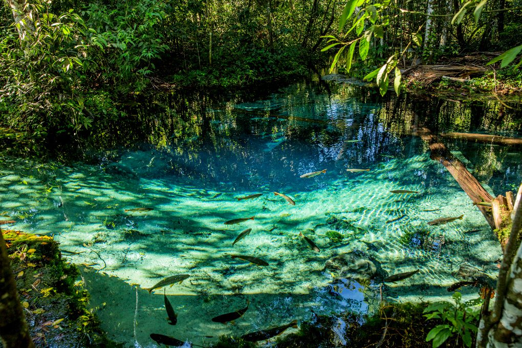 aquarioencantado-nbr