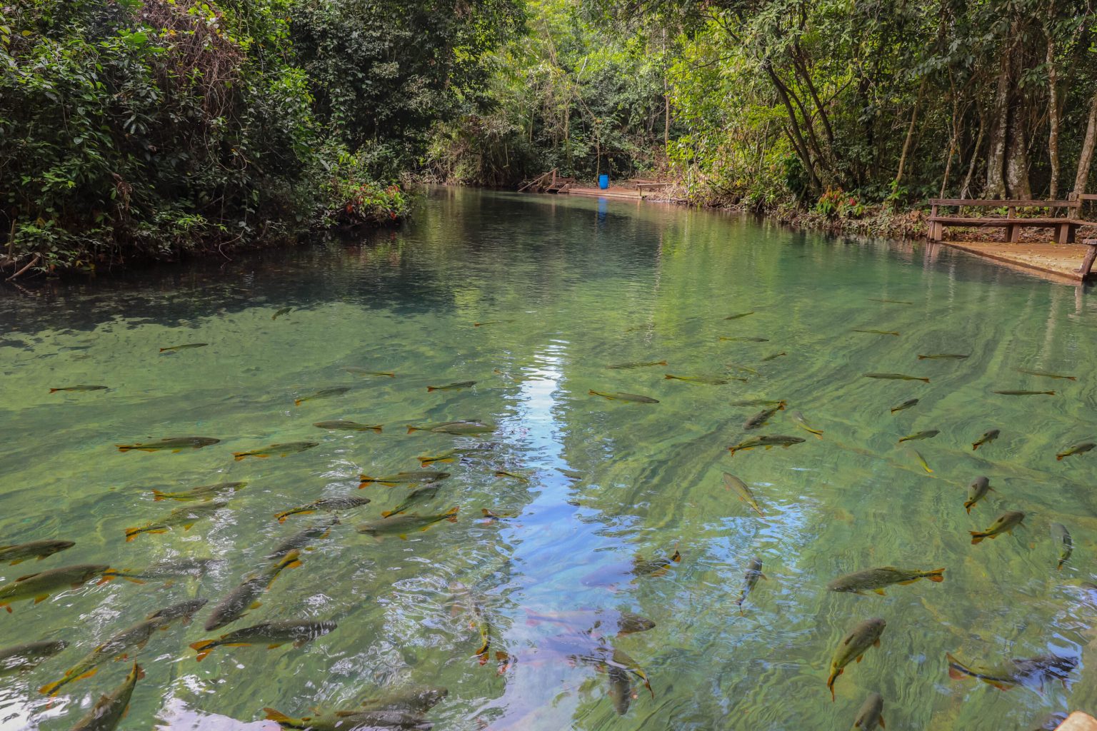 refugio-agua-azul4-1536x1024