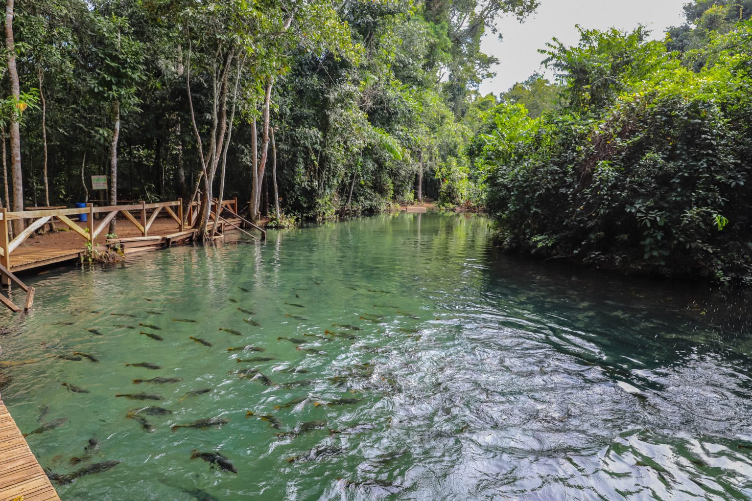 refugio-agua-azul5-1536x1024