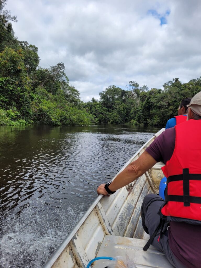 5.1 Uma imersão pela Floresta Amazônica preservada.