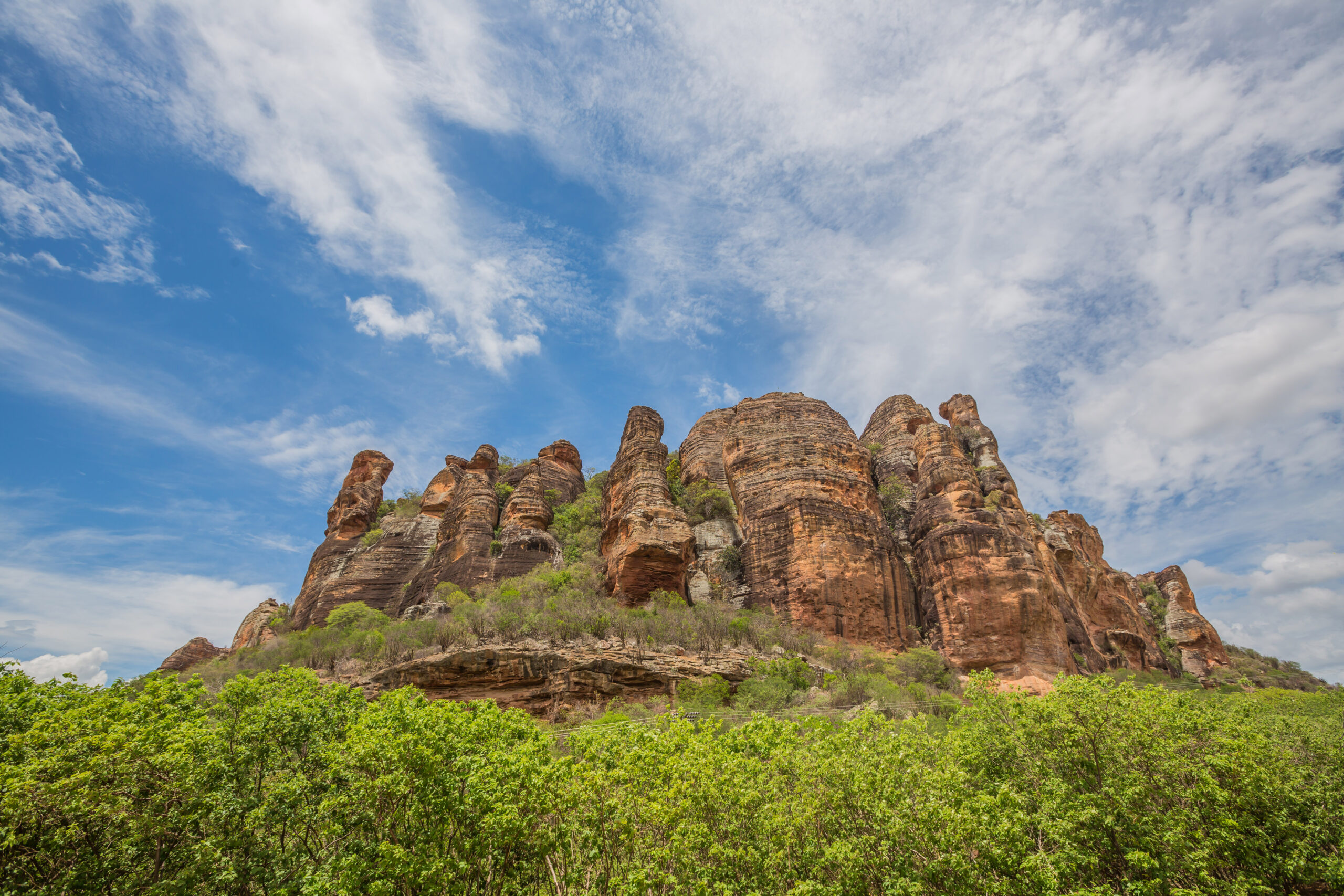 NE_SerraCapivara0012 (1)