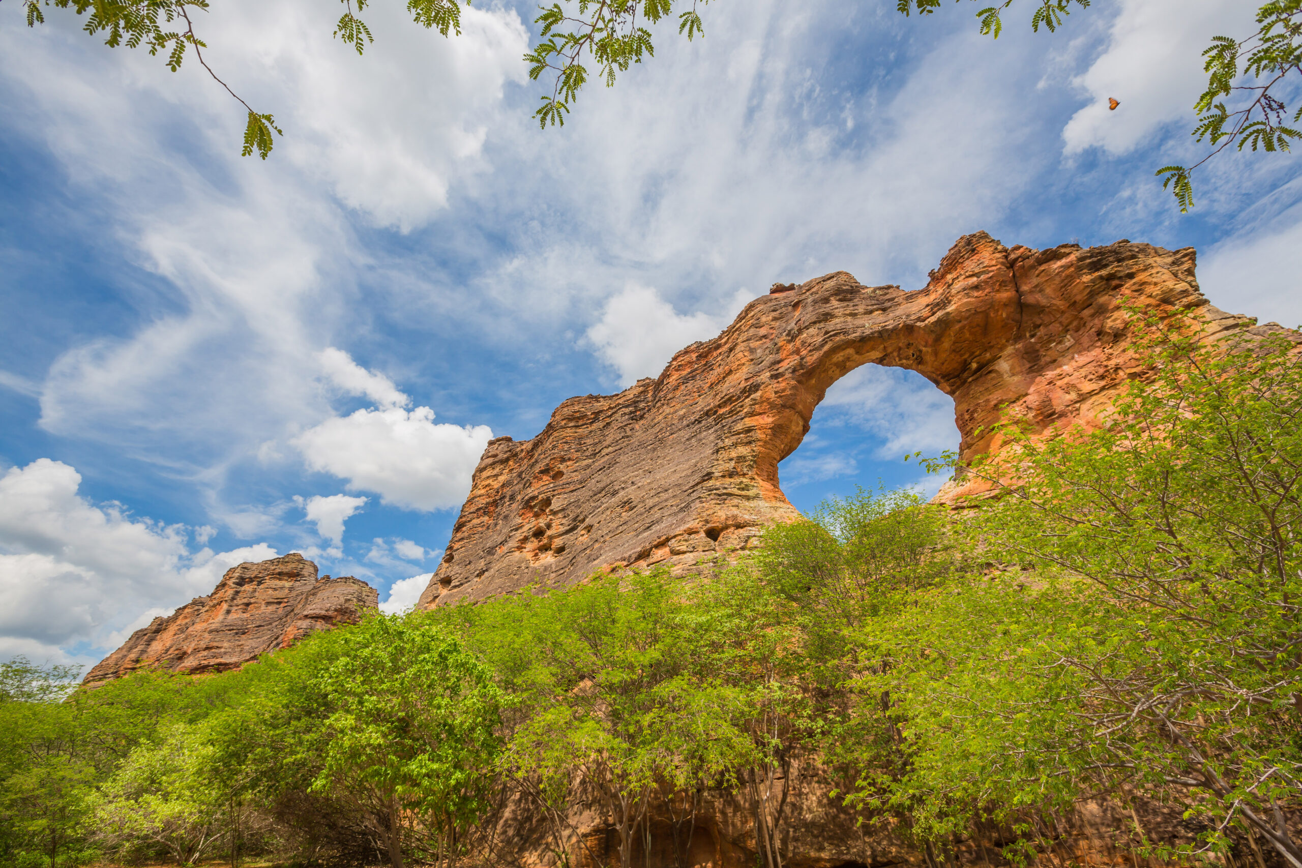 NE_SerraCapivara0022