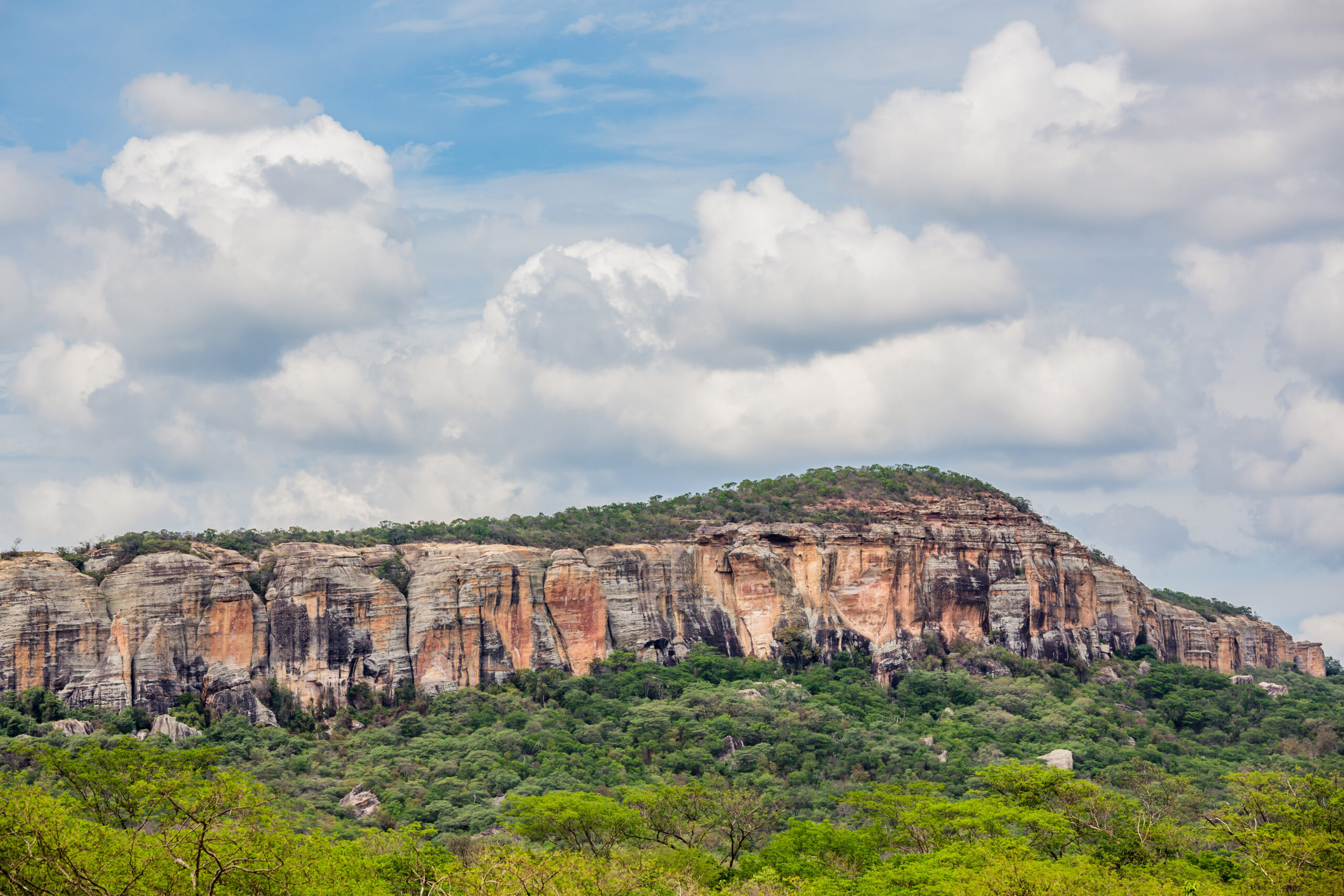 NE_SerraCapivara0028